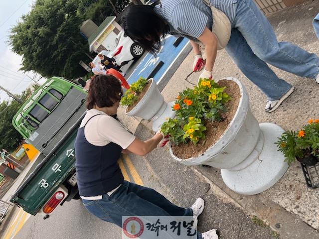 0611 작전서운동, 여름 초화 식재로 쾌적한 마을환경 조성(2).jpg