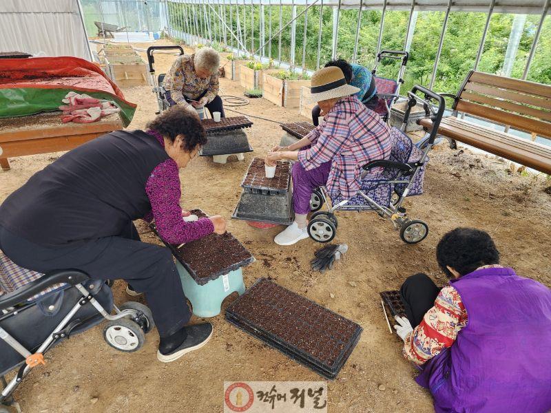 10.시산리아리랑돌봄공동체협동조합 농촌돌봄농장에서 어르신들이 씨앗을 심는 모습.jpg