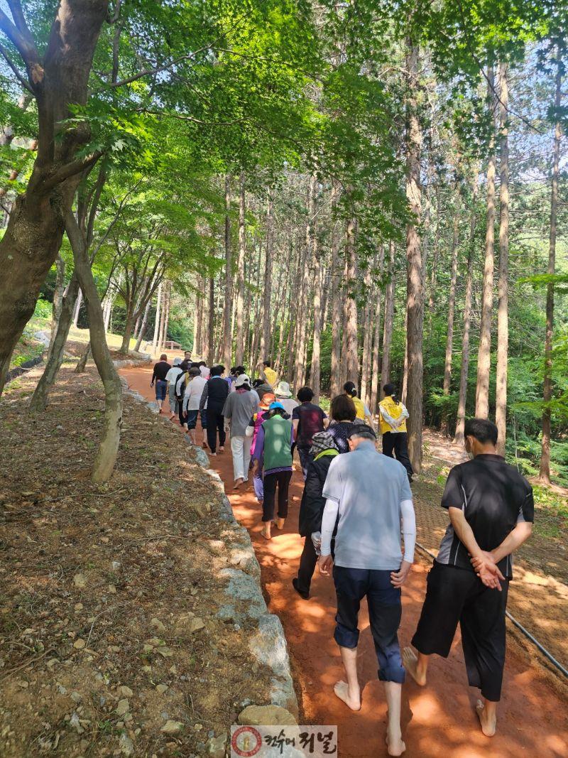 향천사 황톳길 맨발걷기 진행 모습.jpg
