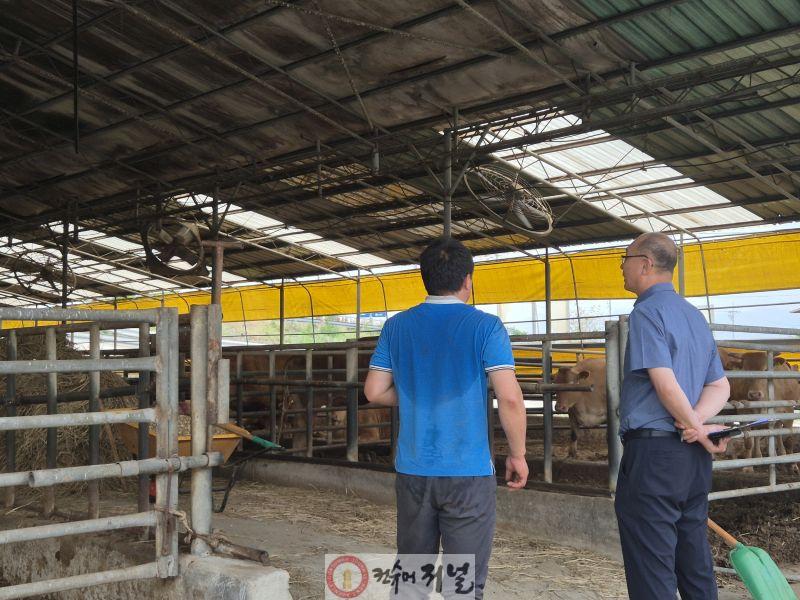 한우농가를 방문한 컨설턴트가 저탄소 축산기술을 설명하는 모습.jpg