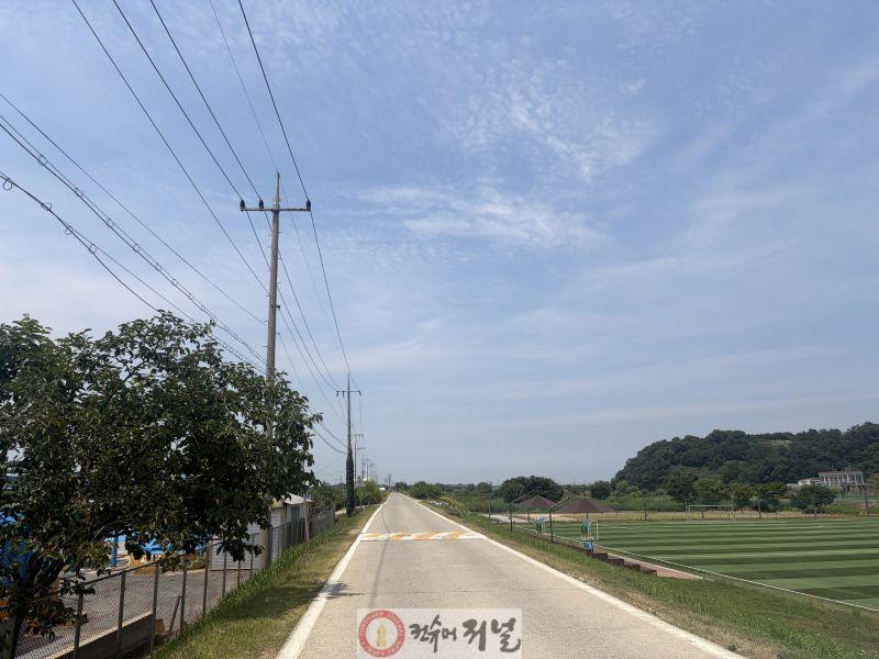 3.국가하천 예초작업 모습.jpg