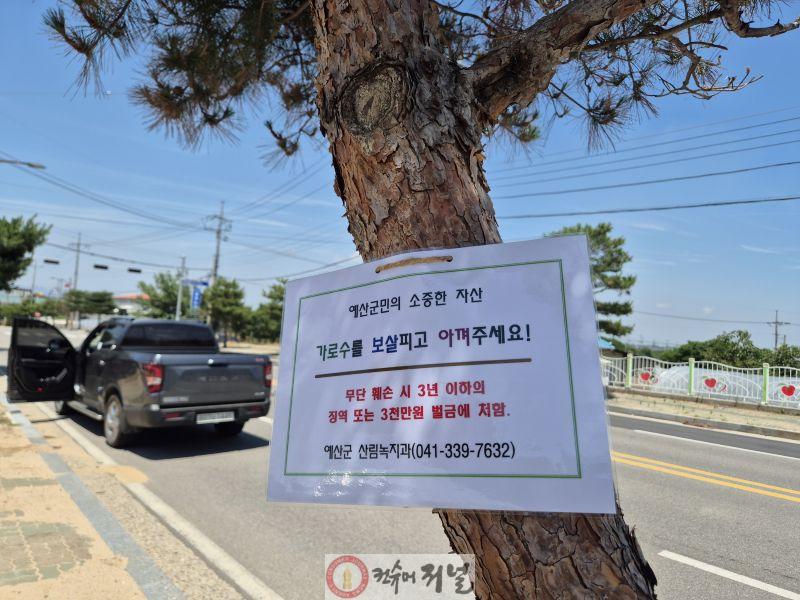 10.가로수 수목보호 표찰 부착 모습.jpg