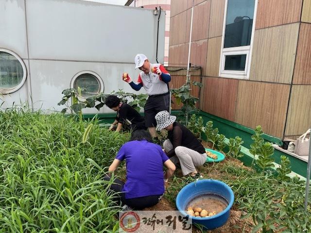 1. 부평1동 옷상텃밭 수확물 나눔.jpg