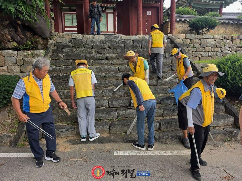 10.대흥면노인회 환경정화 봉사활동 모습 (2).jpg