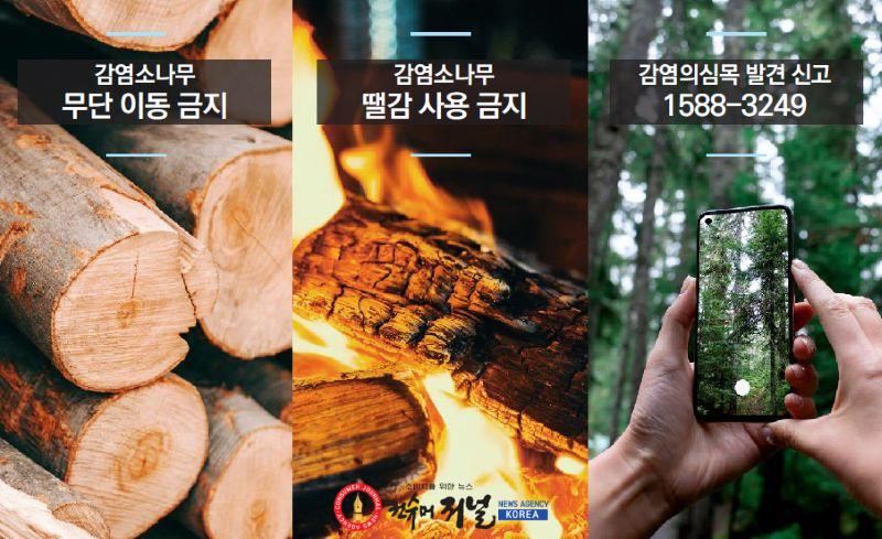 2.소나무류 무단 이동 특별단속 안내 홍보물 (2).jpg