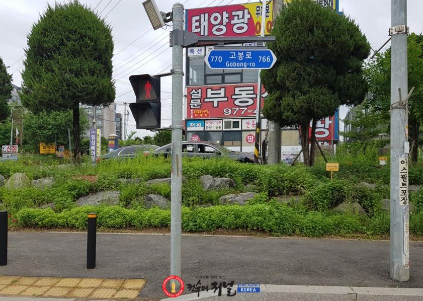 1. 고양시, 길 찾기 편의성·안전성 높인다…도로명판 231개 신규 설치 (2).jpg