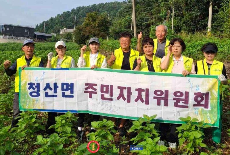 2.청산면 주민자치위원회, 공동 들깨농장 경작 봉사 실시1.jpg