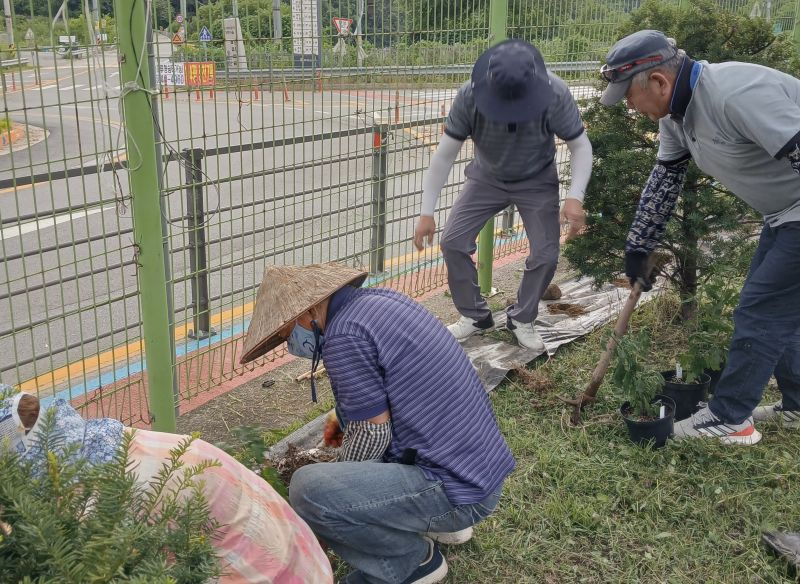 4.미산면 마전리, 주민들이 직접 가꾸는 ‘국화마을’ 조성.jpg