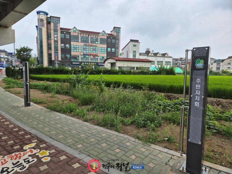 0820 계양1동 주민자치회, 주민 소통을 위한 현수막 게시대 설치 (1).jpg