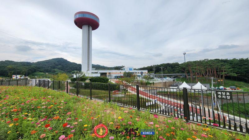 3.예당호 전망대 주차장 백일홍 개화 모습 (1).jpg