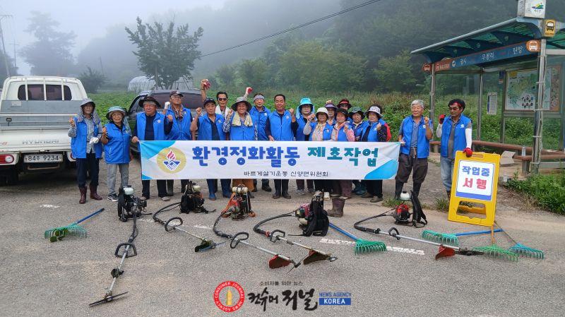 6.신양면 바르게살기위원회 제초작업 진행 모습 (1).jpg