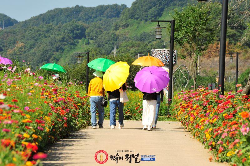메인.JPG