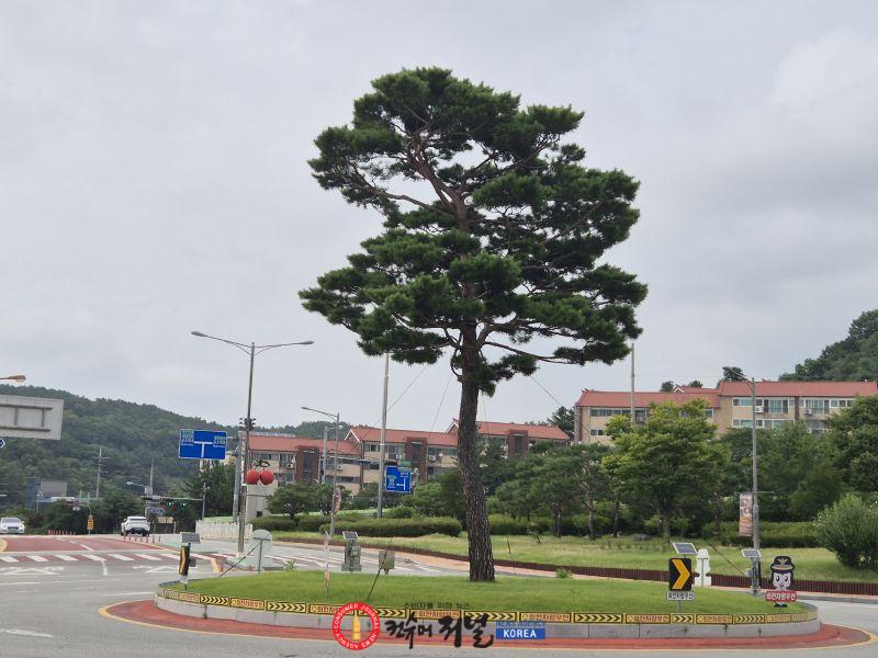 3.아리랑고개 회전교차로 전경.jpg