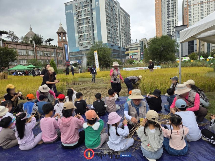 기획보도 사진3_도시농업한마당, 벼베기 체험.jpg