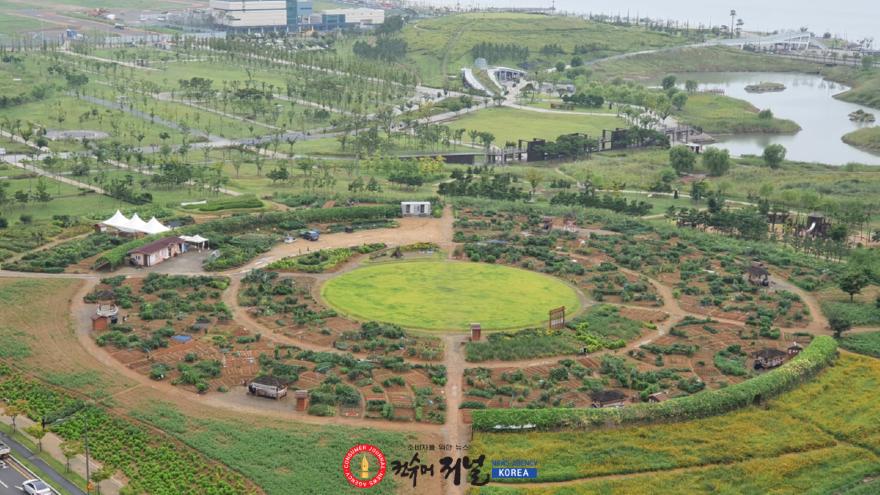 보도자료2 시흥시 도시농업공원 중 하나인 배곧텃밭나라 전경.jpg