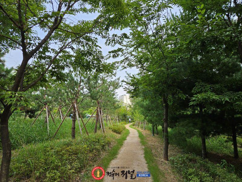 3-1_(사진자료)_기후대응_도시숲_조성사업(미추홀구).jpg