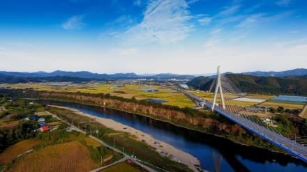 경기도, "DMZ 사색(四色)하다" 임진강과 벚꽃길 따라 걷는 봄꽃여행