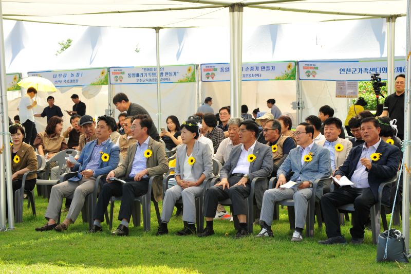 연천 장남면 통일바라기 축제, ‘꽃보다 아름다운 가을 여행’ 9월의 연천을 노랗게 물들이다!