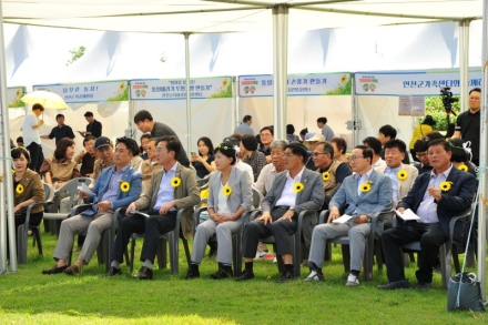 연천 장남면 통일바라기 축제, ‘꽃보다 아름다운 가을 여행’ 9월의 연천을 노랗게 물들이다!