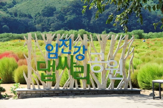 연천군 중면, 댑싸리정원 개장 11만여명 발길 이어지며 가을 명소로 자리매김
