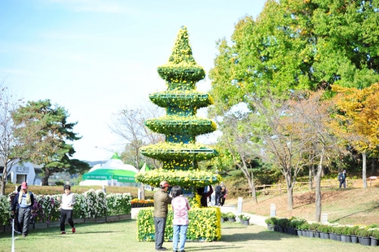 연천군, 국화축제 및 율무축제 개최