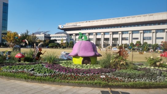 인천시, 겨울에도 생기 넘치는 애뜰광장 겨울맞이 꽃단장