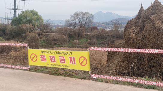 【기획보도】 고양시, 가축전염병 특별방역대책 실시… AI·ASF 등 발생 차단