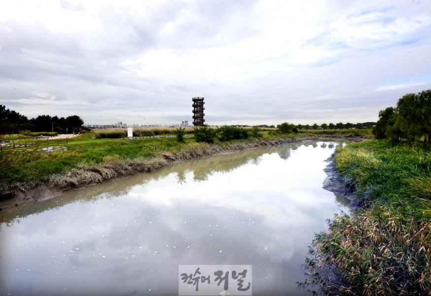 2024년9월26일K-시흥시 갯골생태공원 개막전 풍경3.jpg