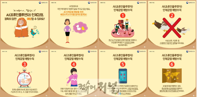3. 파주시, 조류인플루엔자 인체감염 예방 주의 당부.png