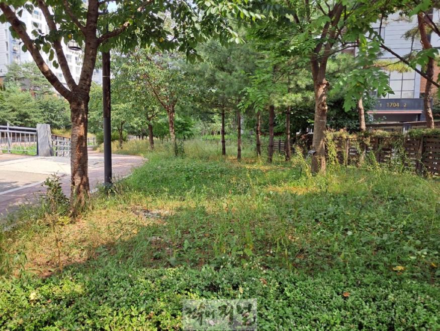 7.녹지산림과(의정부시, 송산3동행정복지센터 인근 녹지대에 맨발산책로 조성)1-송산3동 행정복지센터 인근 녹지대(민락동 891-1).jpg