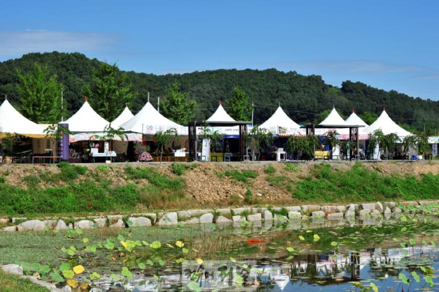 06.JPG