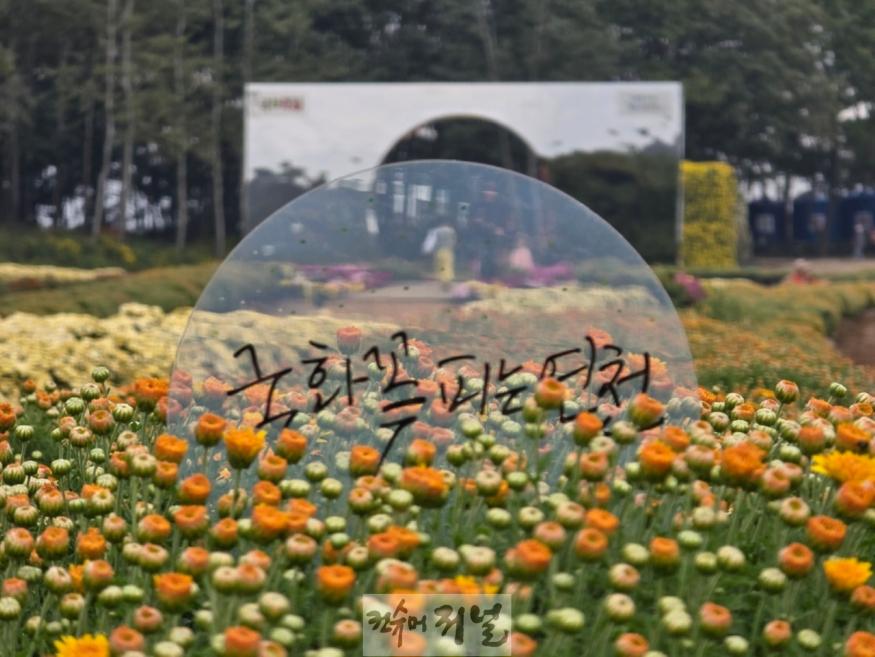연천군  오는 27일까지 전곡리유적서 국화축제 개최.jpg
