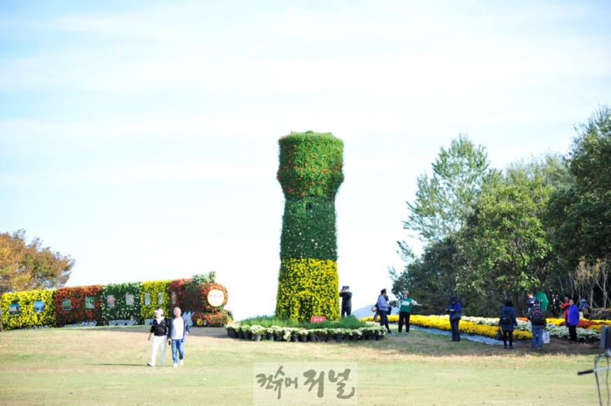국화.JPG