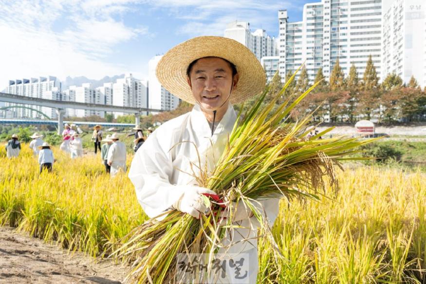 2.생태하천과(의정부시, 중랑천 벼농사 가을걷이(추수) 체험행사 개최)1.jpg