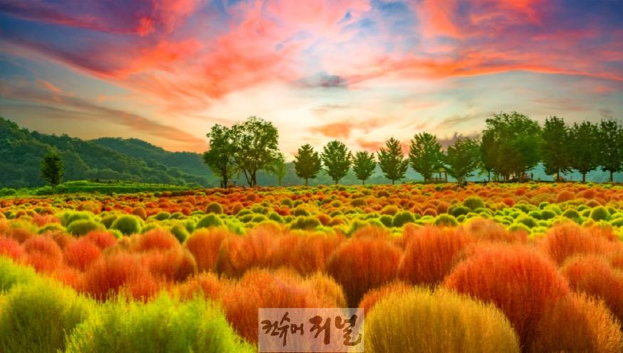 연천군 중면 임진강 댑싸리정원 지역 관광명소 ‘우뚝’.jpg