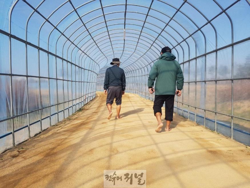1115 계양꽃마루 사계절 맨발산책길로 건강 챙기세요!.jpg