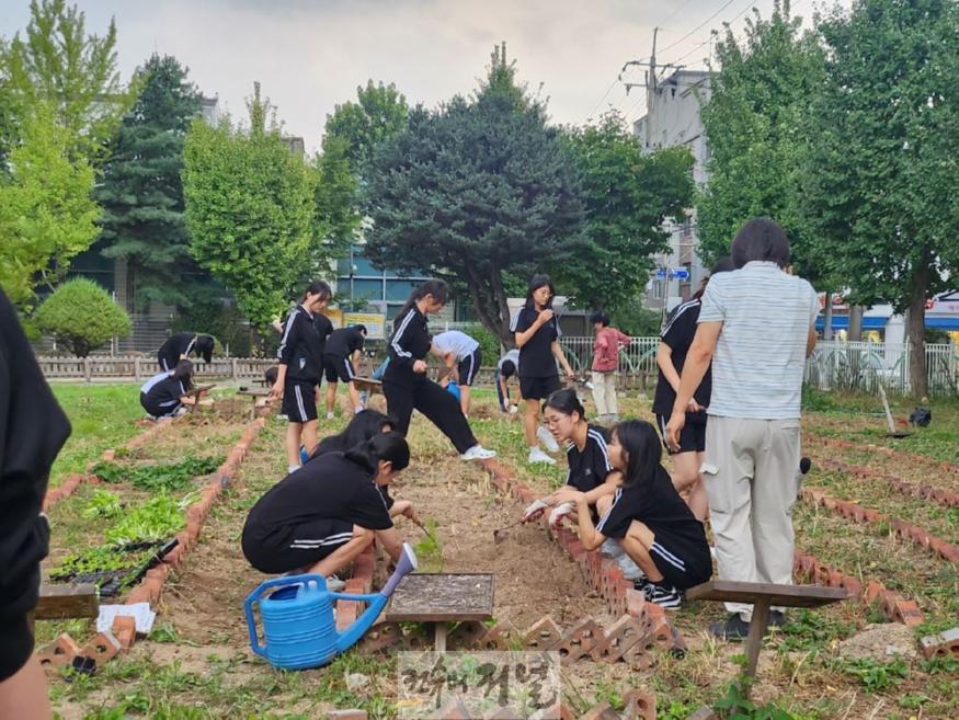 [1129 보도자료]의정부여자중학교, 김장김치로 지역사회에 온정 나눔 실천 사진 (2).jpg