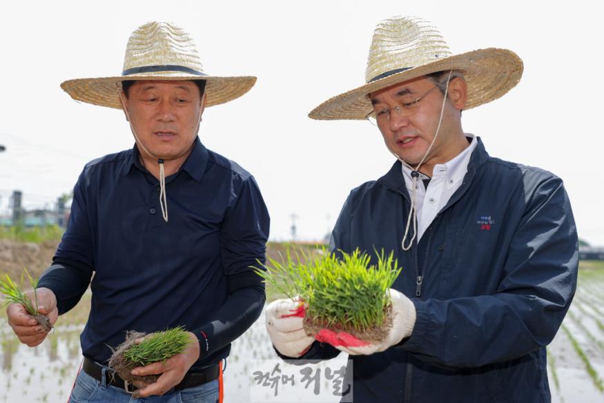 1-1. 가와지1호 모내기 시연에 참석한 이동환 고양특례시장.jpg