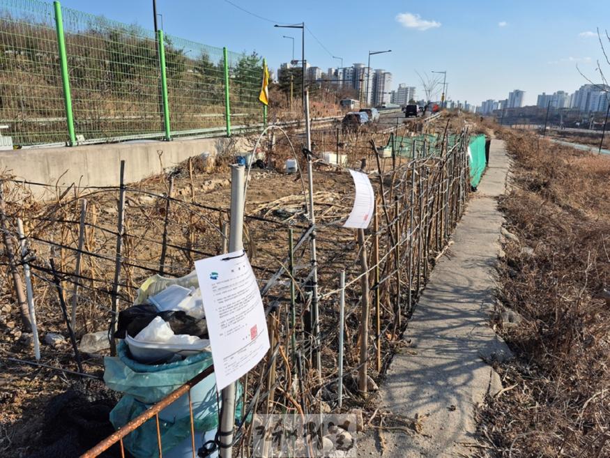 4.생태하천과(의정부시, 수락지하차도 인근 불법 경작 하천부지 시민 위한 녹지공간으로 탈바꿈)1.jpg