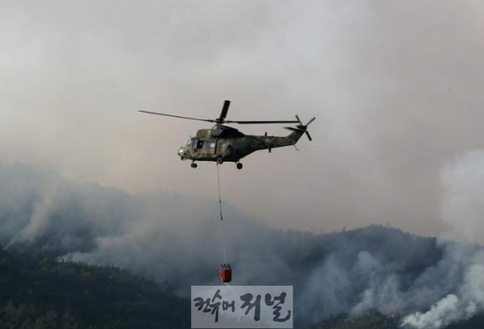 참고사진(네이버).jpg
