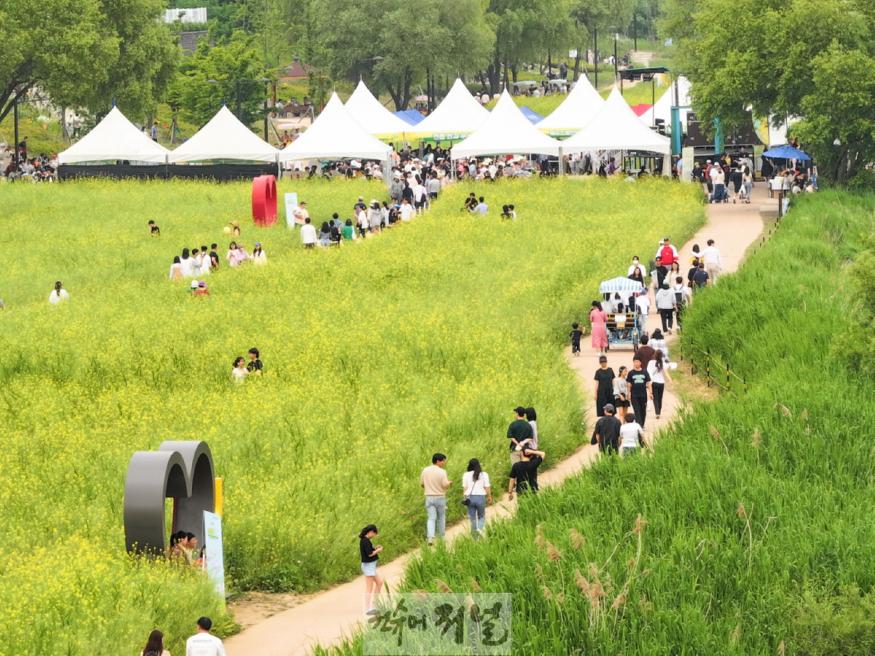 1-3. 2024 창릉천 유채꽃 축제.jpg