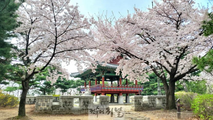 1-9. 정발산 평심루 전경.jpg