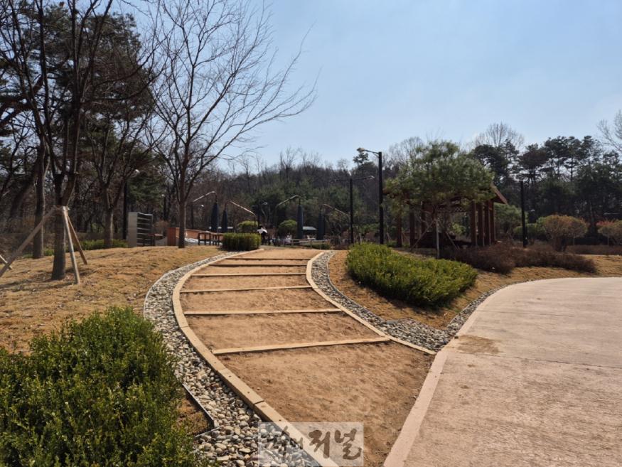 1-5. 정비공사가 완료된 탄현공원 산책로(2024년 준공).jpg