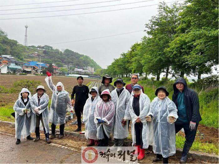 왕징면주민자치위원회, 유휴지 활용 고구마 식재.jpg