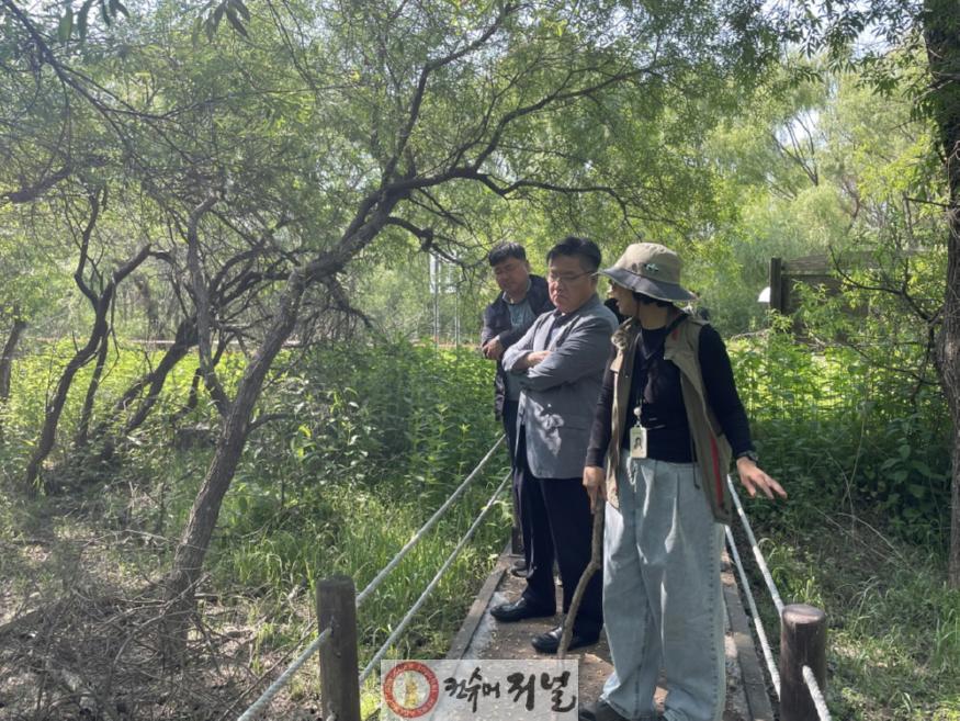 3. 고양시 박원석 제1부시장, 장항습지 현장 점검 (1).jpg