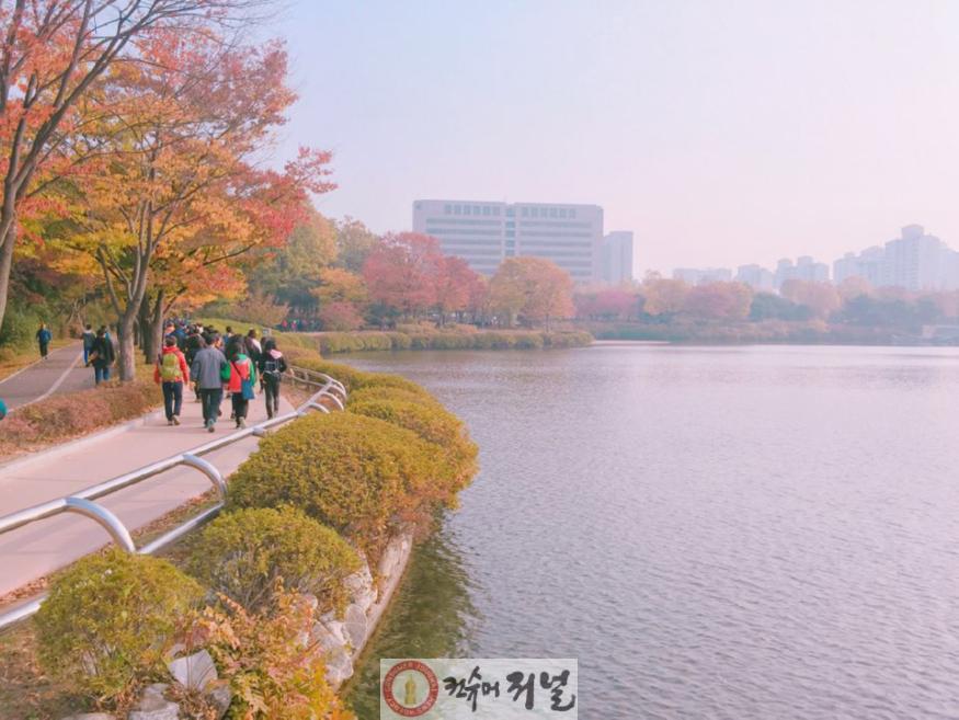 1-5. 호숫가를 따라 걷는 호수누리길.jpg