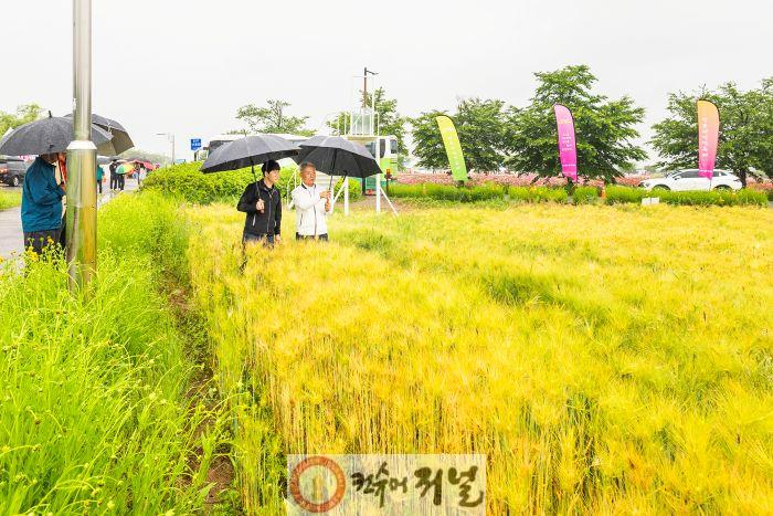 0519 계양구, 사계절 관광명소 ‘계양아라온’ 조성 위해 선진지 견학 실시 (1).jpg