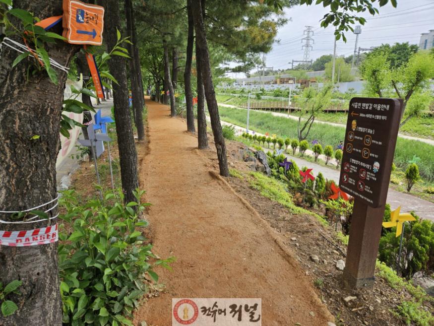 보도자료1 시흥천 제방 내 조성된 시흥천 맨발길.jpg