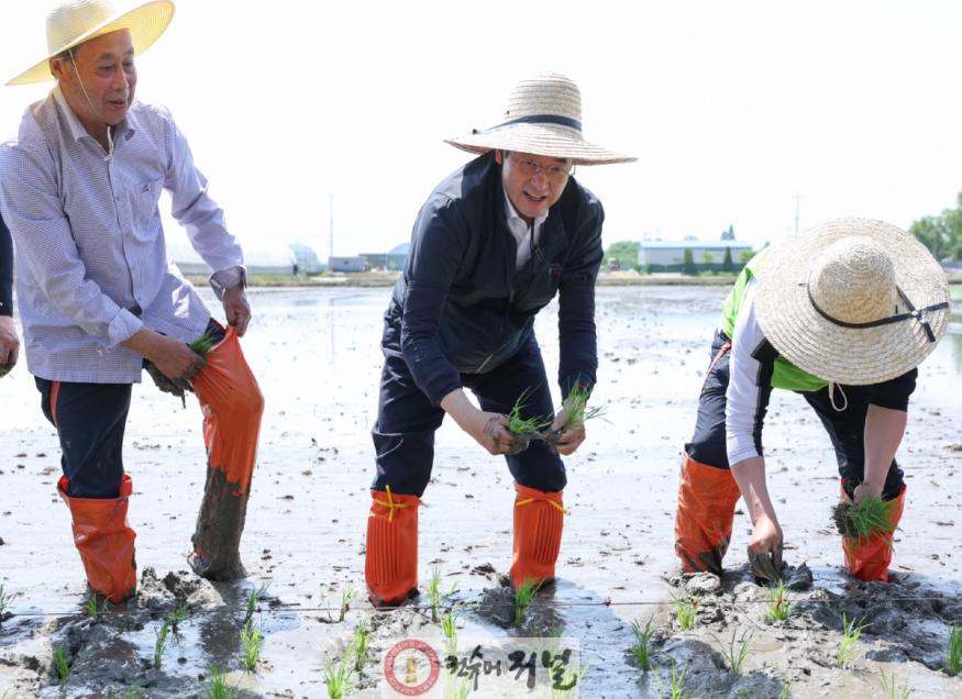 1. 고양시, ‘가와지쌀’본격 이앙…“가와지볍씨 정신 담아 농업 미래 연다” (2).JPG